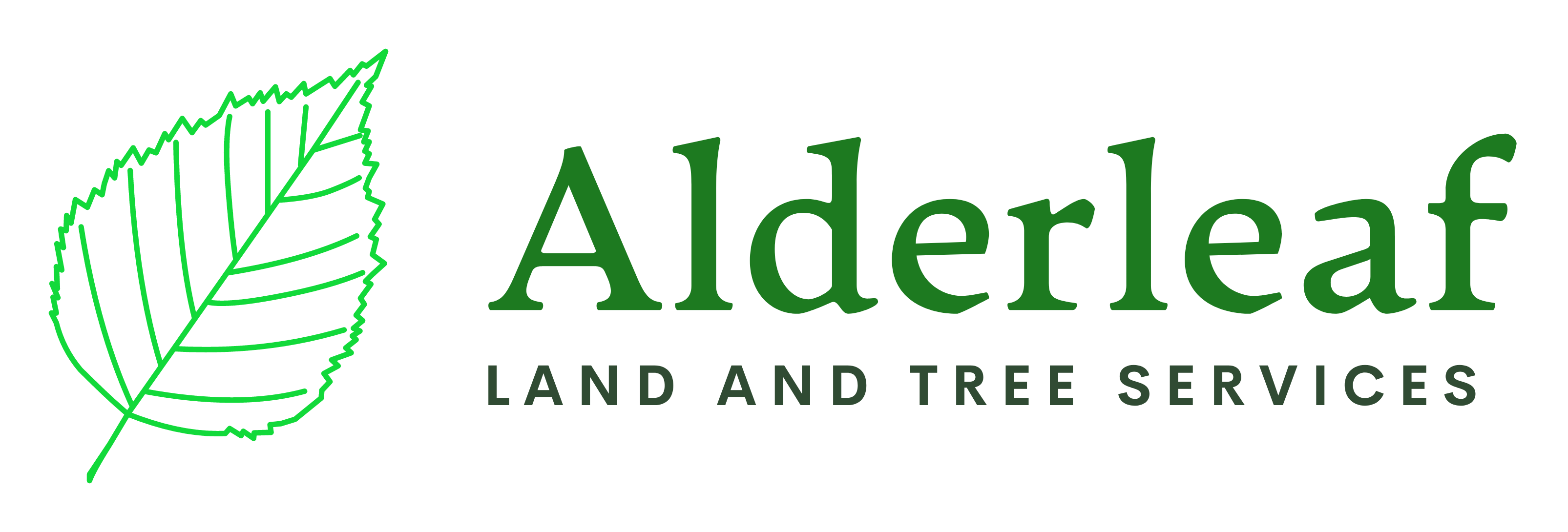 Color logo – no background